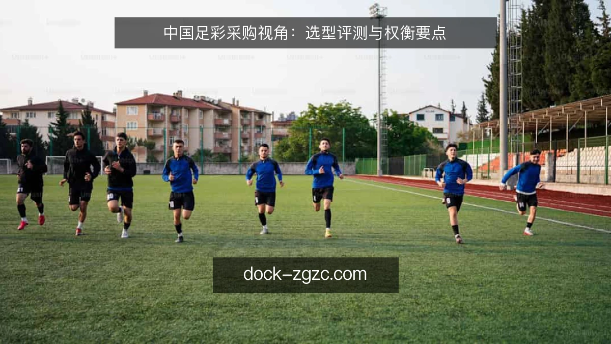 中国足彩采购视角：选型评测与权衡要点